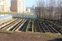 Агробиостанция ЧГПУ приступает к реализации овощных культур