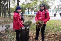 Студенты ЧГПУ вносят свой вклад в благоустройство города