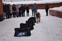 Студенты ЧГПУ стали участниками Всероссийской акции «Студенческий десант»