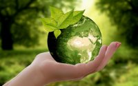5 июня – всемирный день окружающей среды