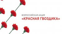 Фонд «Память поколений» проводит всероссийскую акцию «Красная гвоздика»